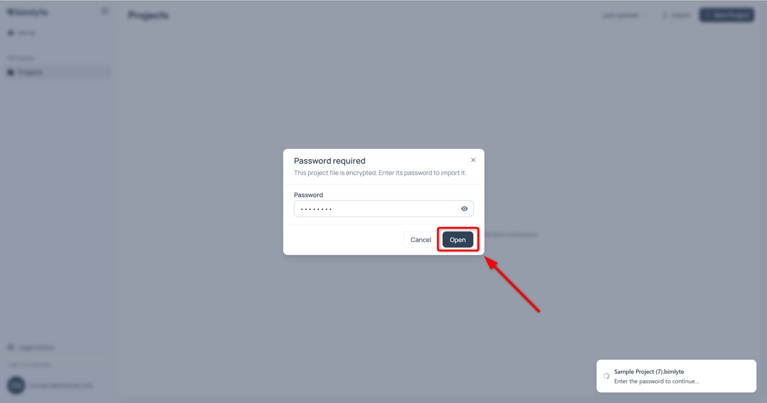 The password prompt shown when a .bimlyte package is password-protected